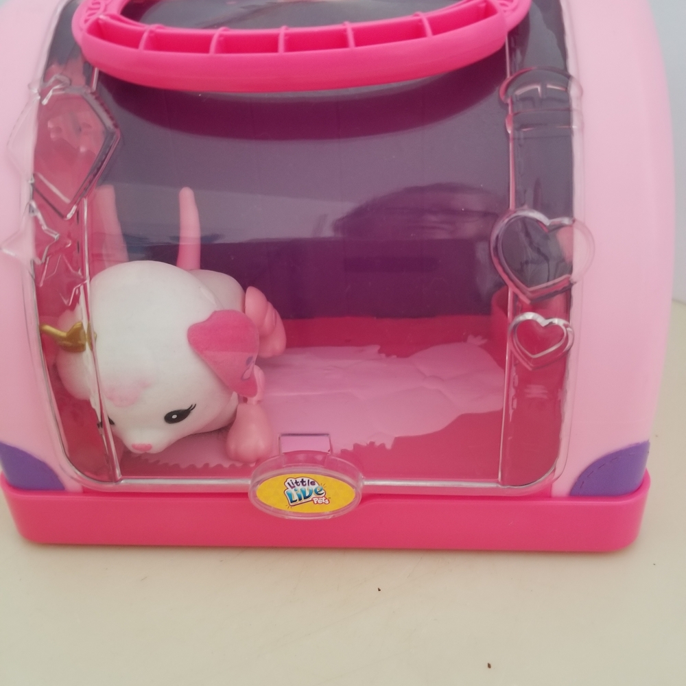 Pink and Purple Small Pet Carrier
